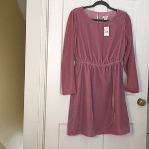 Velvet j Crew dress